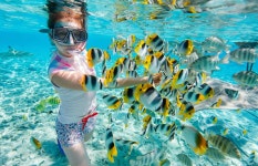 필리핀 보라카이 호핑투어 | 푸카비치, 탐비산비치, 코랄가든, 악어섬, 일리일리간비치 : 뜨거운청춘