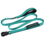 와일드독 투핸들 중형견 대형견 강아지리드줄 블루그린 : 와일드독