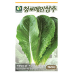 청로메인상추씨앗 2000립 로메인상추씨 샐러드 채소씨앗 종자 다농 식물나라스토어 : 식물나라스토어