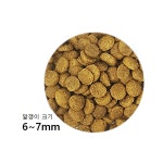 프리미엄 건강 고급 사료 렉스 내츄럴레인지 키튼 닭고기 쌀 어린 고양이 사료 1kg : 코드6컴퍼니