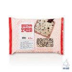 영양가득 오색 오미 4.2kg : The나은마켓