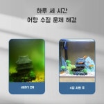 외부여과기 상면여과기 연결 미니 UV 살균기 램프 녹조제거 : 유레카 월드