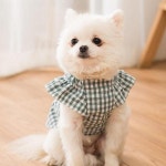 체크 원피스 예쁜 강아지옷 : Picktori