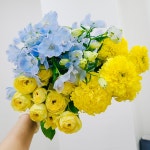 [꽃님이] 꽃 생화 정기구독 배송 배달 농장직송 경매 시장 꽃다발 세트 : 꽃님이.com