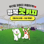 경북e누리 의성 펫월드+안동 미스터멍 : 경북여행몰