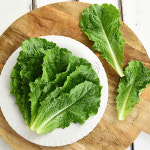 산정마을 국내산 통로메인 로메인 상추 2kg내외 : 산정마을