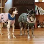 뮤니쿤트 베럴 투게더 Better Together Padding - Soild : Khaki : 철수마켓