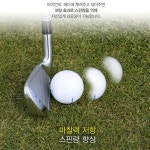 국내산 골프채 오염제거 제균 광택 세정제 골프클럽 퍼터,아이언 전용 : 코스퀘어