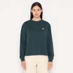 22FW DANTON 단톤 코튼 크루넥 스웨터 : 플라이투재팬