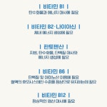 닥터브라이언 가루 비타민B 고함량 종합 비타민B 분말 스틱 멀티 : 영양제쇼핑몰