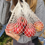 강원도 양구 부사사과 3kg 햇사과 선물용 가정용 겨울사과 맛있는 사과 설선물 : 양구 금호사과농장