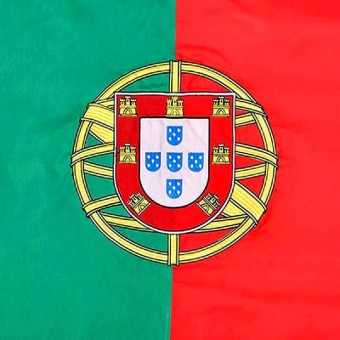 Zwjflagshow 포르투갈 국기 9X5cm 포르투갈어 공화국 장식 : 대박짱