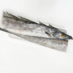 [부천시 배달] 살이 통통 갈치 1마리 [부천원미종합 아우네청과유통] : 동네시장 장보기