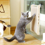 고양이 원목 벽걸이 벽면 부착 흡착 패드 골판지 리필 평판 수직 겸용 캣 스트레칭 스크래쳐 : 독찐개찐