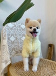 강아지 옷 보아 후리스 집업 S-2XL : 아뭉아뭉