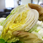 해남 절임배추 20kg 국내산 천일염 : 아지매푸드