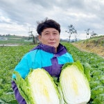 학동농장 국내산 땅끝 해남 절임 절인 배추 20kg : 학동팜