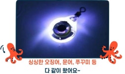 낚시 집어등 오징어 쭈꾸미 갈치 미니 전자 LED 집어 점멸등 라이트 램프 (A0328) : 캐빈보이 CABIN BOY