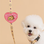 강아지 만지지 마세요 겁이 많아요 산책 안내 표시 리드줄 메세지 와펜 : 온.쇼핑