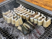 국내산 풍천 민물장어 5kg+생강채400g+절임깻잎300g+소스10 손질 초벌 택배 : 활력수산