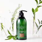 무실리콘 무파라벤 약산성 헤어리즘 스템셀 단백질 에센스 샴푸 750ml : 뷰티보라