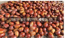 유기농 알밤 2kg 풋풋농장 이동근 : 재화네