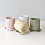 원형 링클 매트 클레이 토분 컬러 도자기 다육 화분 8호 : 마이플랜트