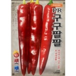 고추 씨앗 종자 PR구구팔팔 1200립 바이러스에 아주강한 초 극대과종 : 삼대씨앗