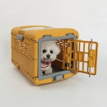 딩동펫 강아지 컨비니언트 접이식 켄넬 옐로우 M : 딩동펫
