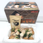 송화고 송고송화 착한송이 가정용 송향버섯2kg : 송향버섯농장