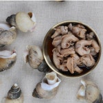 골뱅이장 자연산 뱃고동 백고동 생 통 골뱅이 : 민생상회