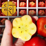 영주 별사과  공식 농장 직송 선물포장 : 프리미엄 달인샵