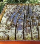 보성 다향골 야생화 벌 꿀 500g : 복내양봉원벌꿀