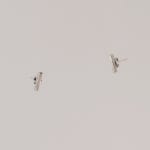 실버 925 바 스터드 M006 : 데트왈
