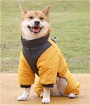 댕댕포유 강아지옷 산책 우비 패딩 하네스 겨울옷, S : 댕댕포유