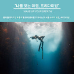 광주·전남 프리다이빙 교육 1레벨 : 프리다이빙프렌즈