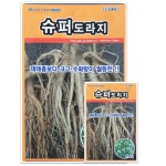 민속채소 텃밭 농사 종자 슈퍼도라지 씨앗 1000립 : 농사농