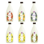 포모나 딸기 스무디 2kg : 커피만나