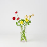 꾸까 랜덤 버터플라이 라넌큘러스 반단 제철꽃 생화 꽃배달 꽃시장 농장꽃 산지직송 생화배달 : KUKKA