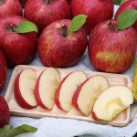 영주 풍기 꿀 부사사과 5kg : 풍기댁