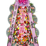 축하화환  : 박소현천사플라워