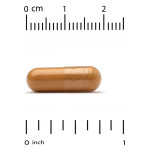 레이크 에비뉴 PQQ 함유 코엔자임 코큐텐 100mg 60정 2통 : 체크유