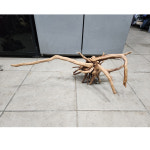 사진나무그대로358드리프트유목,대형가지유목,인테리어나무,데코유목,대형유목,대형뿌리가지유목50~60cm : 수족관남국상사