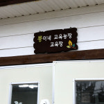 강원도 철원 뽕이네교육농장 전통식품 농촌교육체험 슬로푸드 보리막장 만들기 : 뽕이네농장