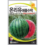 애플수박씨앗 10립 온리유애플수박씨 과채씨앗 종자 세계종묘 식물나라스토어 : 식물나라스토어
