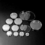 Petri Dishes-2/JS-32131/SPL : 사이언스조아