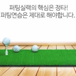 퍼팅매트 골프스윙매트 골프실내연습장 가정 실내 : 로로모아