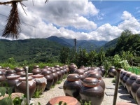 함양 지리산마천농장 칠선계곡 토속식품 참옻된장 옻간장 고추장 청국장 1kg : 거함산마켓