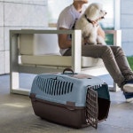 사이즈 L 블루 중형견 켄넬 강아지 해외여행 중형견 캐리어 : 행복의지름길