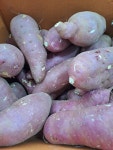 (과일천국1번지) 황토배기 꿀 고구마(가정용 못난이) 9kg-1박스 : 과일판매